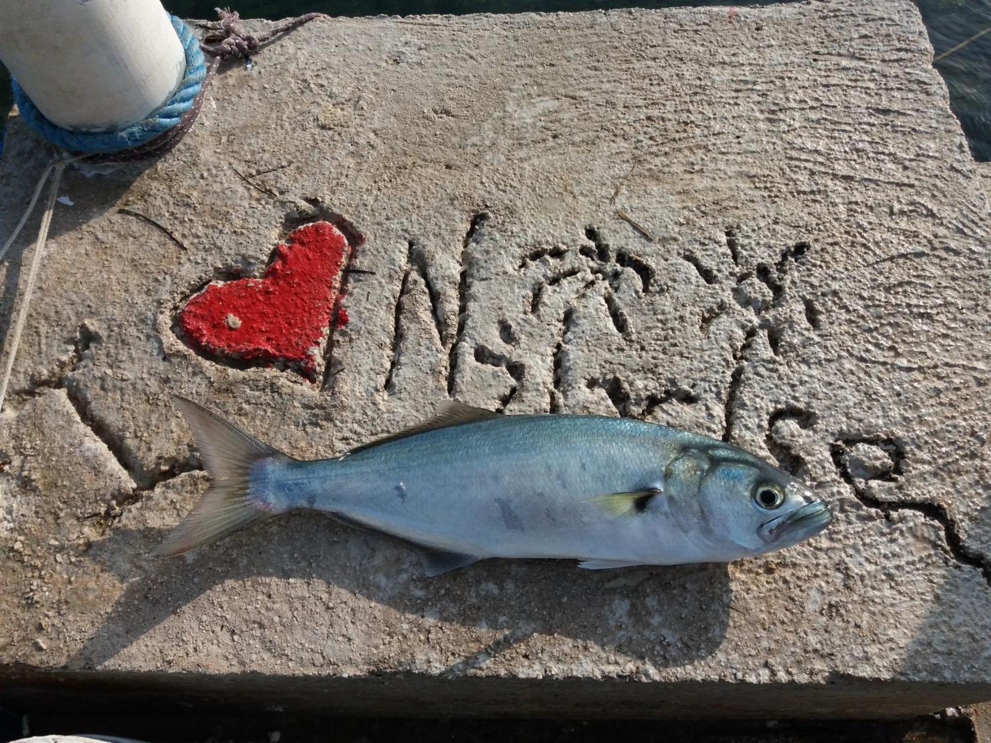 Apartment "I Love Njivice" Herceg Novi Exterior foto